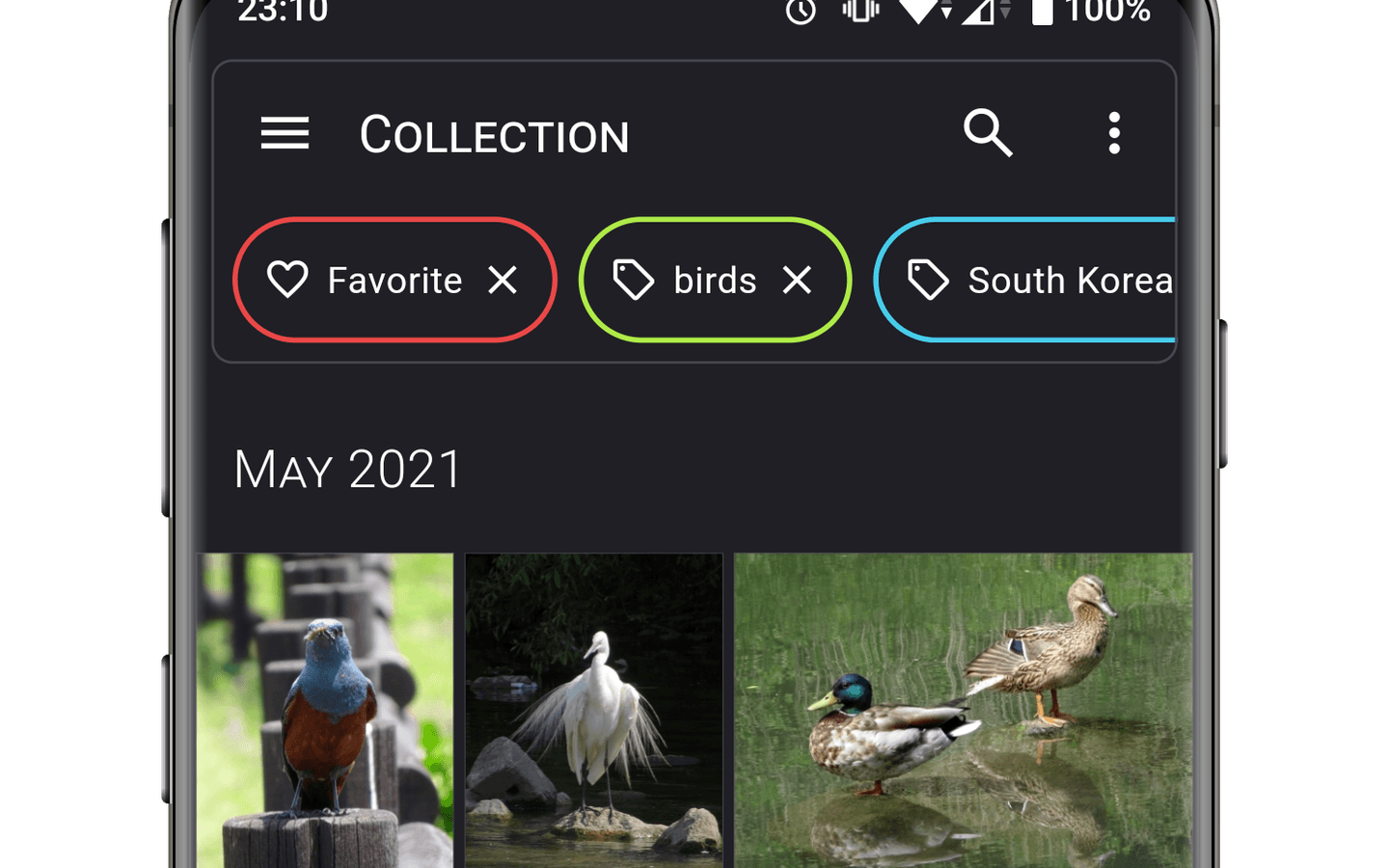 Aves 官方截图展示收藏、鸟类标签、韩国地点筛选和按月份排列的媒体网格